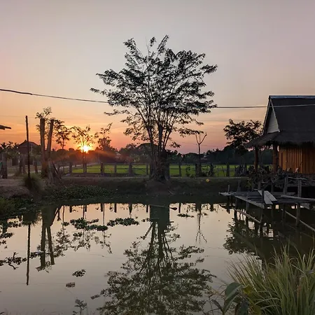 Meta Homestay
